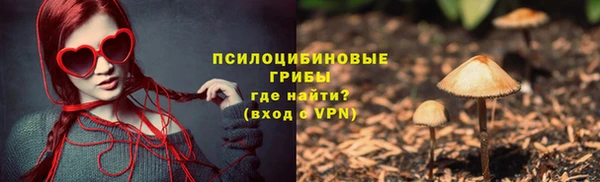 тгк Богородск