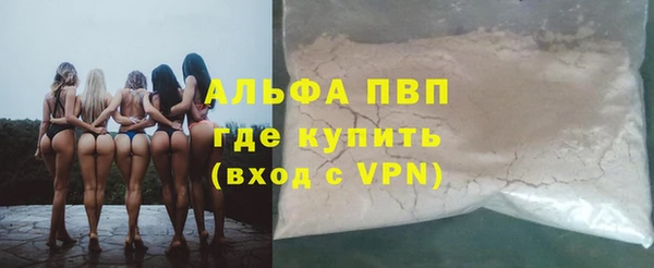 стафф Богородицк