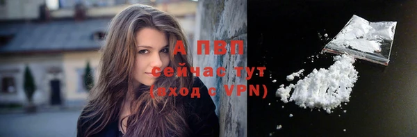 стафф Богородицк