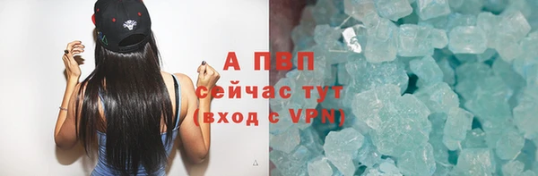 прущий лед Богданович