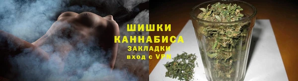 прущий лед Богданович