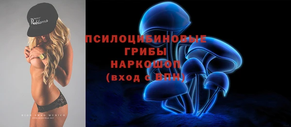 тгк Богородск