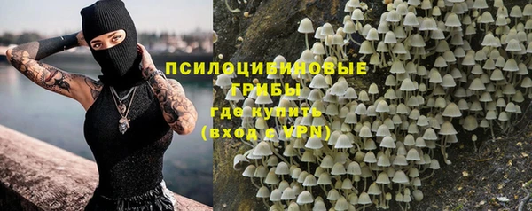 стафф Богородицк