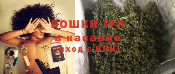 прущий лед Богданович