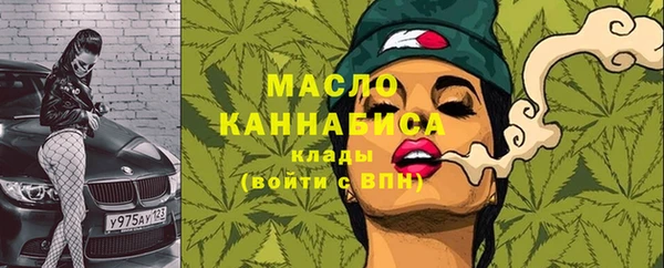 прущий лед Богданович