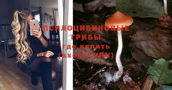 прущий лед Богданович