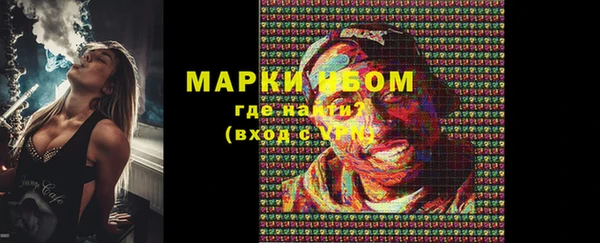 прущий лед Богданович