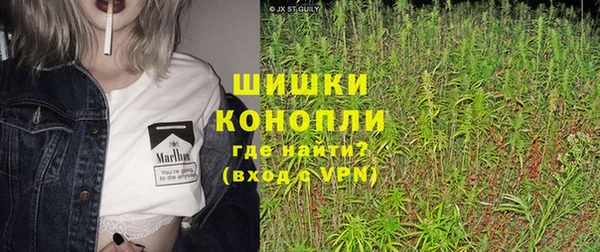 стаф Семилуки