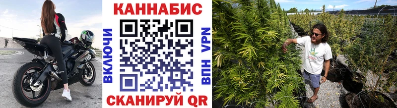 Конопля план  Сланцы 